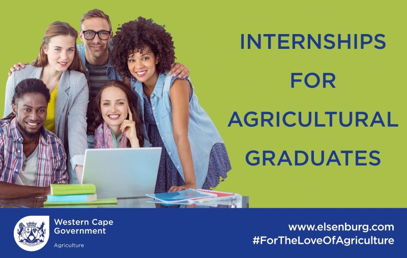 Western Cape Department of Agriculture Internship Programmes 2025